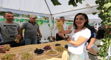 Efes Selçuk'ta üzüm şenliği heyecanı