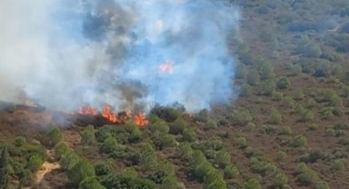 Foça'da makilik alanda yangın