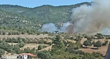 İzmir'de korkutan orman yangını
