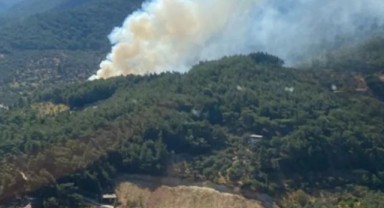 İzmir'de orman yangını! Ekipler müdahaleye başladı