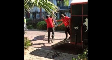Manisa'da atlara eziyet kamerada! Ünlü jokey görüntülere isyan etti