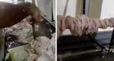 Sosyal medyada gündem olmuştu: Manisa'daki kokoreç imalathanesinde tepki çeken görüntüler