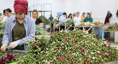 Türkiye'den Kraliçe'nin cenazesine 1,5 milyon karanfil