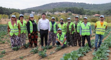 Bucalı çiftçilerden kış sezonunun ilk hasadı