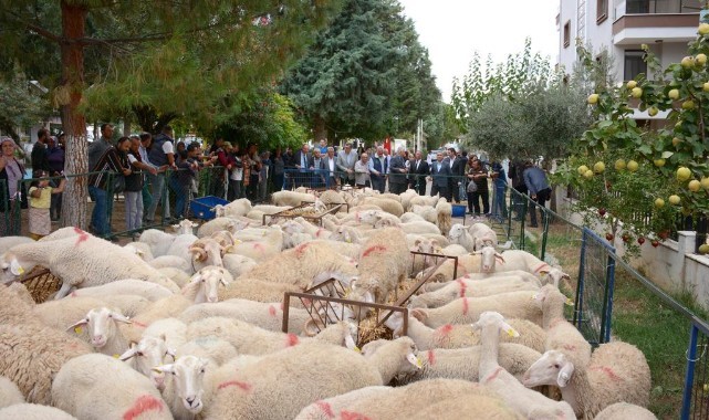İzmir Büyükşehir Belediyesi’nde 34 üreticiye daha hayvan desteği