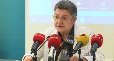 Türk Tabipleri Birliği Başkanı Şebnem Korur Fincancı gözaltına alındı