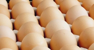 Yumurtanın kolisi 100 liraya dayandı