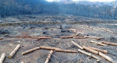 9 günde yandı 15 aydır kes kes bitmiyor