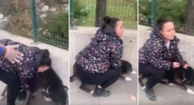 AKP'li belediyeden barınak önünde Baro yetkililerine 'darp ve tehdit'
