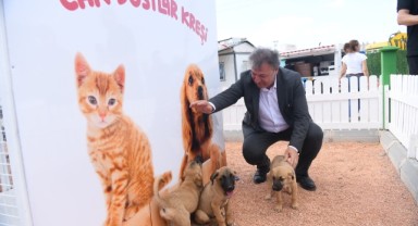 Bornova’da can dostlarına sıcak yuva