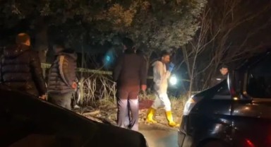 Eyüpsultan'da ağaçlık alana uçan otomobilde yangın çıktı: 1'i polis, 2 ölü
