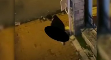 Köpeği boğarak öldürmeye çalışan şüpheli serbest bırakıldı!