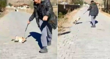 Tilkiye işkence edenler hakkında yeni gelişme