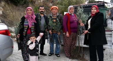Bornovalı çiftçiye 10 bin fidan