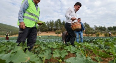 Buca yeniden tarım kenti oluyor