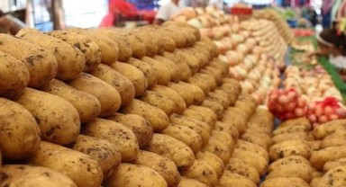 Patates soğanda kısır döngü devrede
