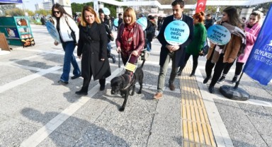 Rehber köpekler toplu ulaşımda