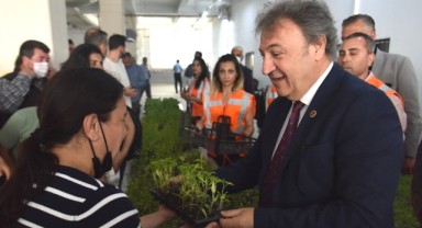 Bornova’da Tıbbi ve Aromatik Bitki Yetiştiriciliği