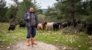 İzmir’de Çoban Start-Up dönemi başlıyor