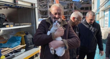 Galeria Sitesi'nde kurtarılan kedi sayısı 13'e çıktı
