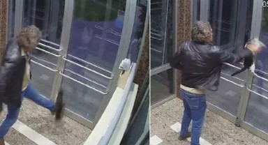 İstanbul’daki kedi düşmanı tutuklandı
