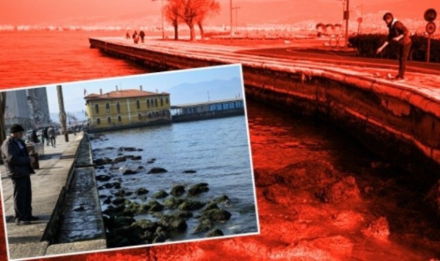 İzmir Körfezi'nde sular çekildi! Deprem ile ilişkisi var mı? İşte yanıtı