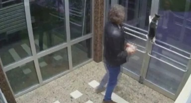 Kediye şiddet uygulayan Aytuğ Koyuncu serbest bırakıldı