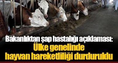 Bakanlıktan şap hastalığı açıklaması: Ülke genelinde hayvan hareketliliği durduruldu