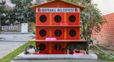 Bayraklı'da kedi evlerinin sayısı 20'ye yükseldi