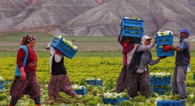 Bazı tarım ürünlerinin ihracatında dönemsel düzenleme imkânı kaldırıldı