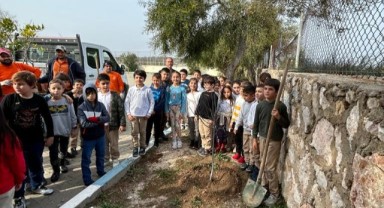 Çeşme’de okul bahçeleri meyve bahçesine dönüşüyor