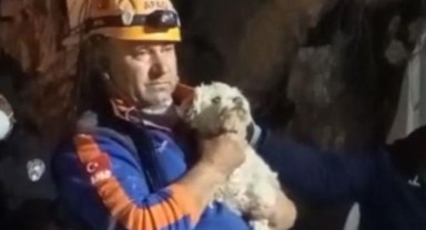 Depremin 25. gününde enkazdan bir köpek canlı çıkarıldı