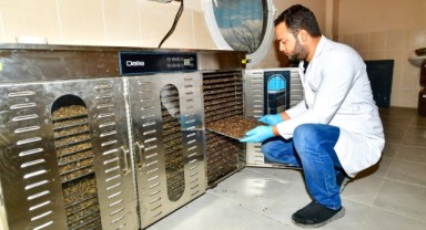 İzmir Büyükşehir Belediyesi can dostlar için mama üretimine başladı