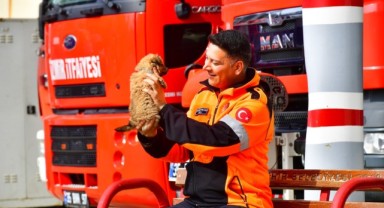 İzmirli itfaiyeci deprem bölgesinden gelen köpeğe yuvasını açtı