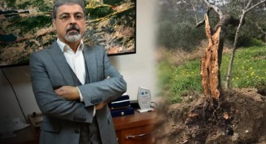 Prof. Dr. Hasan Sözbilir açıkladı... Nedeni fay kaynaklı değil