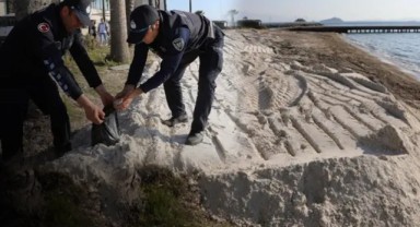 Sahile beyaz kum döktüler... Otelde çalışmalar durduruldu