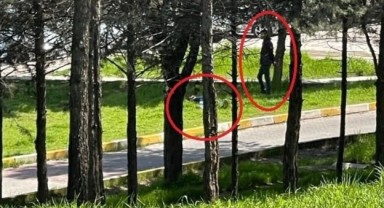 Görenlerin kanı dondu... Öldürüp başında bekledi!