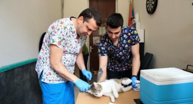 Konak’taki can dostlar için aşı mesaisi!
