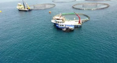 Türkiye, su ürünleri yetiştiriciliğinde Avrupa'da 1'inci sırada!