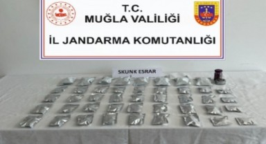 Zehir tacirleri yakalandı!