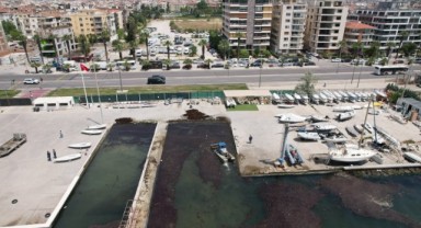 Bostanlı sahilinde deniz marulu temizliği