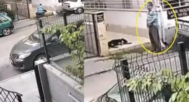 Dikkat sapık aranıyor... Hatay köpek tecavüzcüsünün peşinde