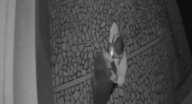 Genç kıza şiddet kamerada! Önce tokat attı sonra saçını çekti
