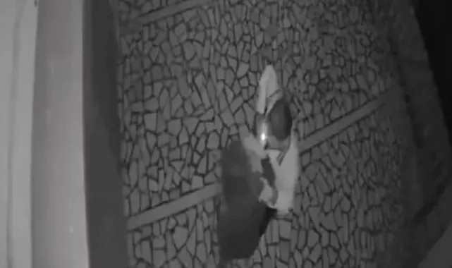 Genç kıza şiddet kamerada! Önce tokat attı sonra saçını çekti