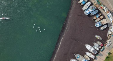 İzmir Körfezi’nde deniz yosunu yayılımı sürüyor