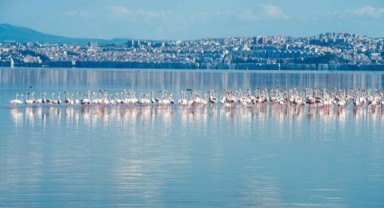 “İzmir Körfezi’nde müsilaj yok”