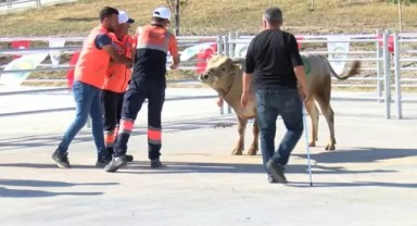 Ankara'da 'kurban yakalama timi': 15 gün eğitim aldılar