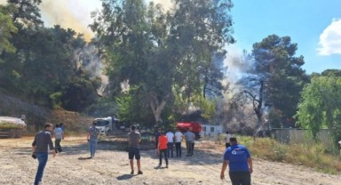 Antalya'da orman yangını