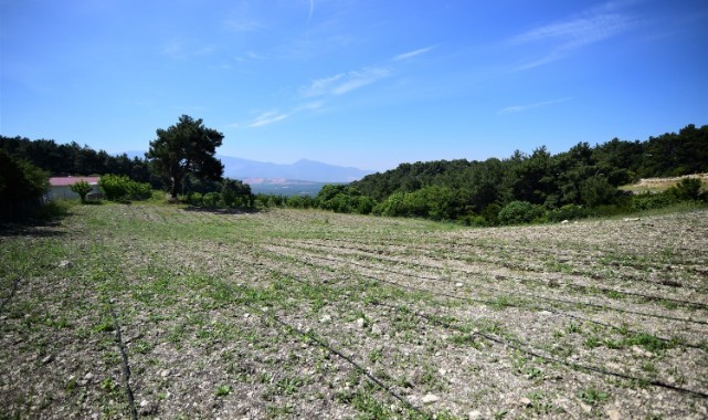 Bornova Belediyesi’nden tohumdan tezgaha tarımsal destek