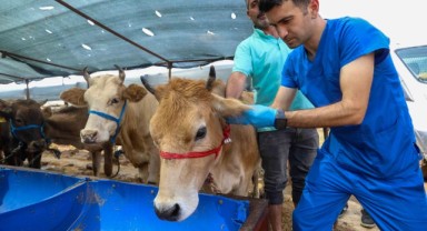Buca Belediyesi’nde Kurban Bayramı mesaisi